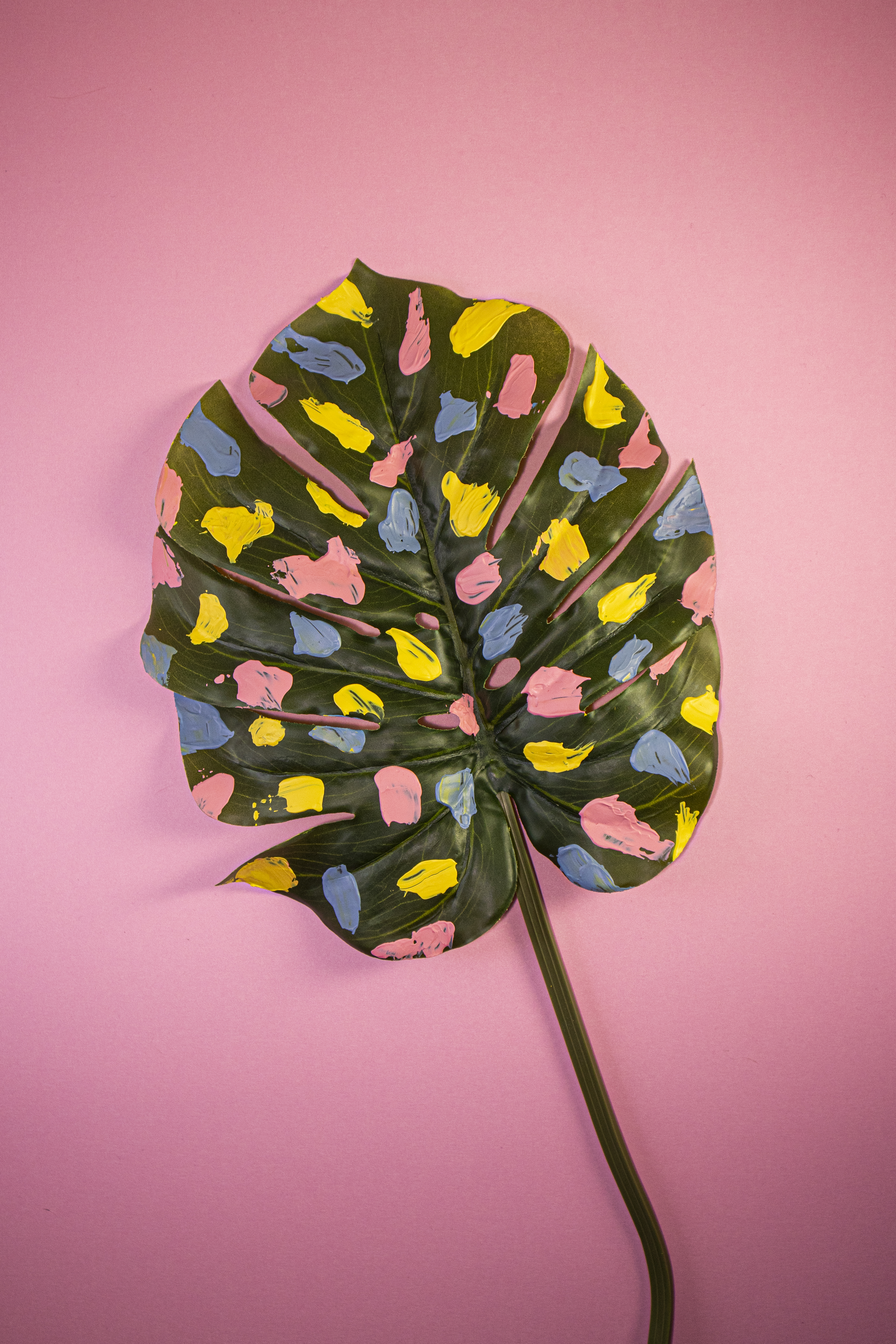 green leaf with pink, yellow, and blue splats of paint on leaf with pink background
