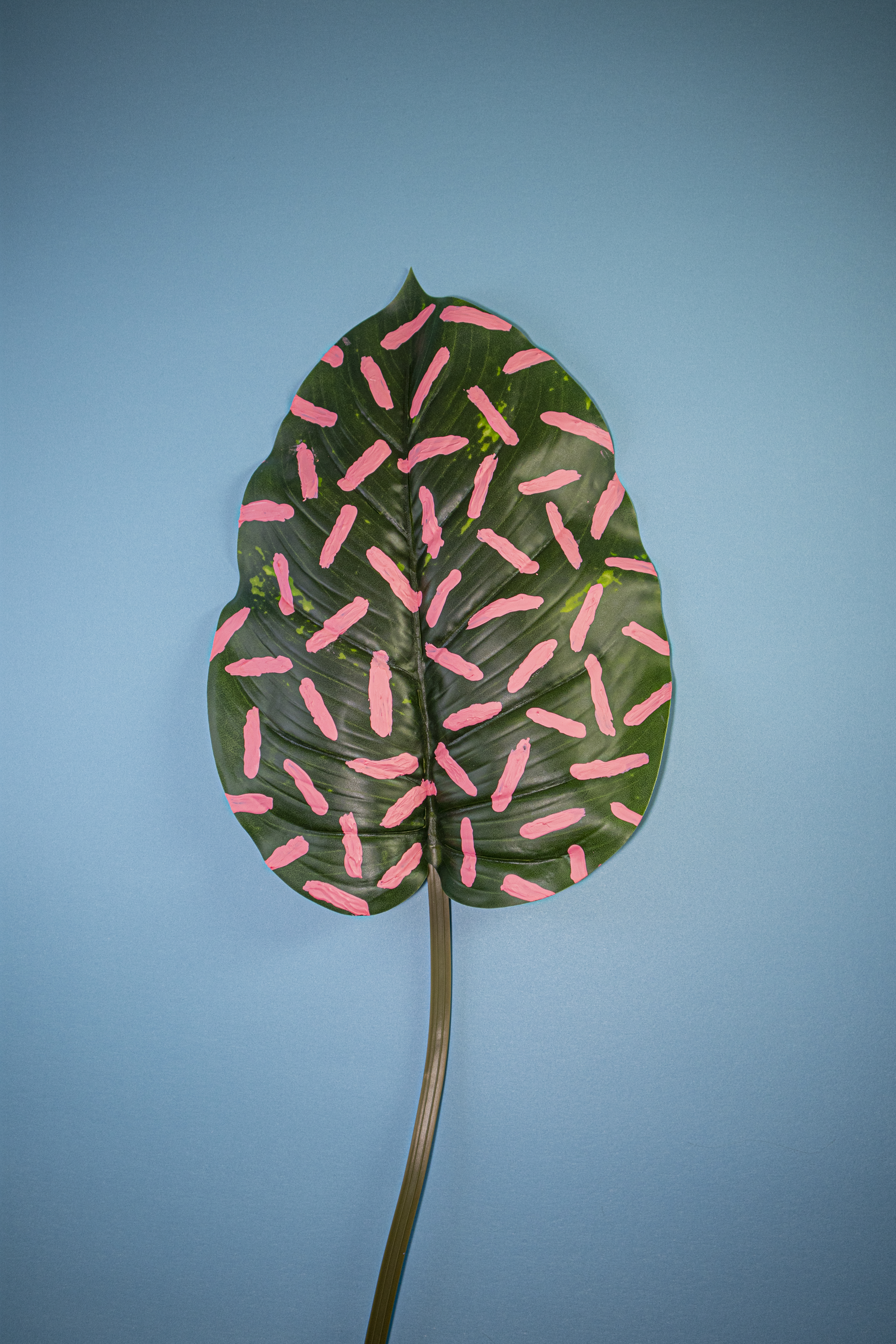 green leaf with pink lines of paint on leaf with blue background
