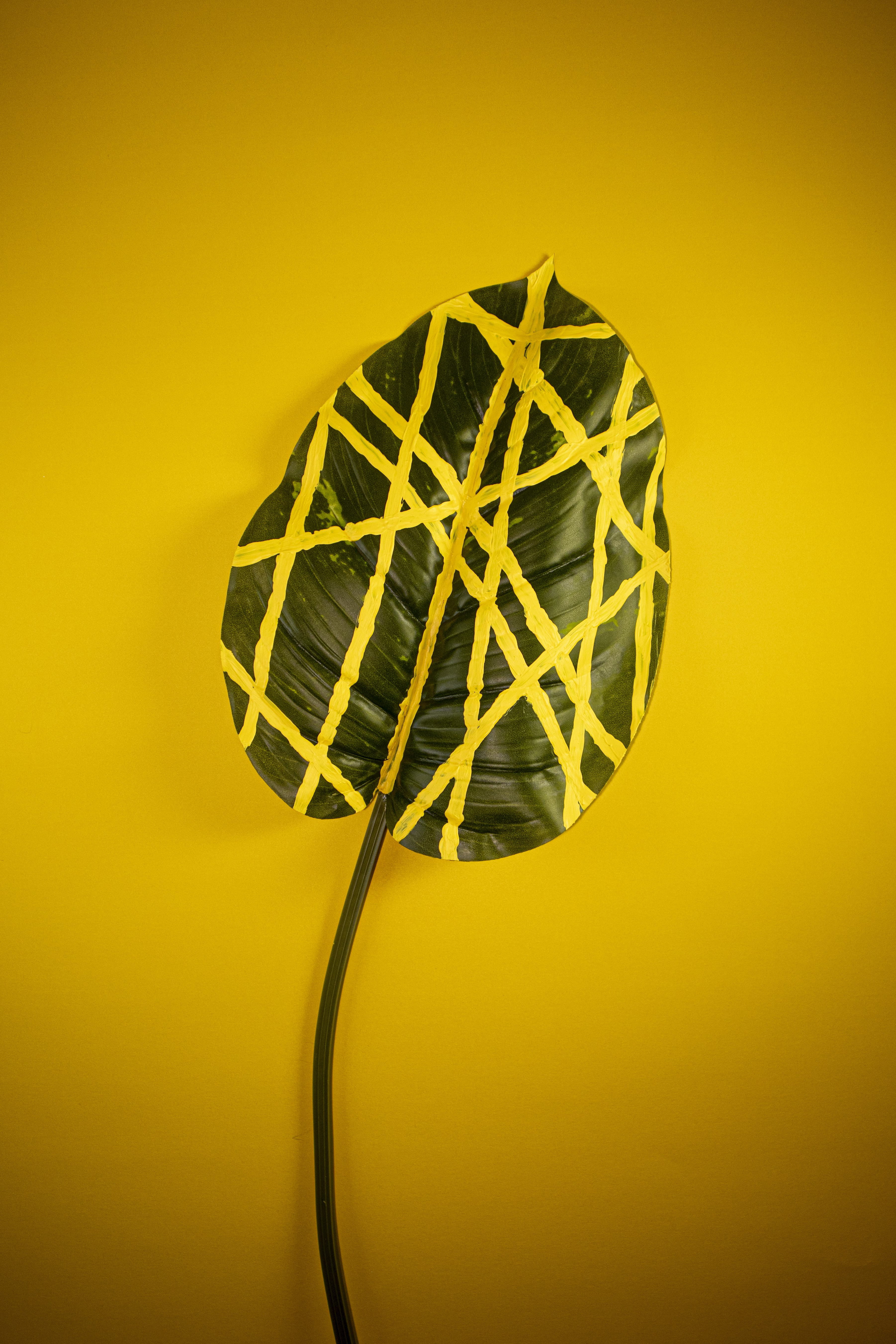green leaf with yellow lines of paint on leaf with yellow background